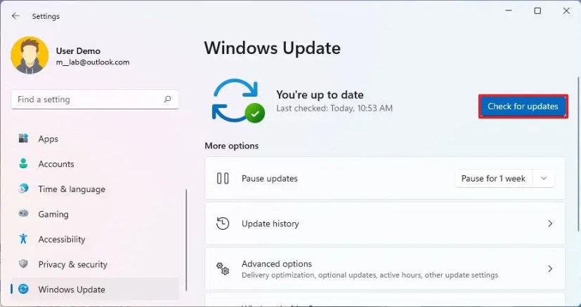 Windows 11 está buscando actualizaciones