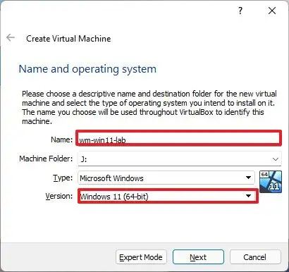 Windows 11 VM settings