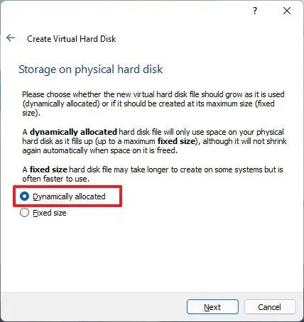 Storage dynamically allocated option
