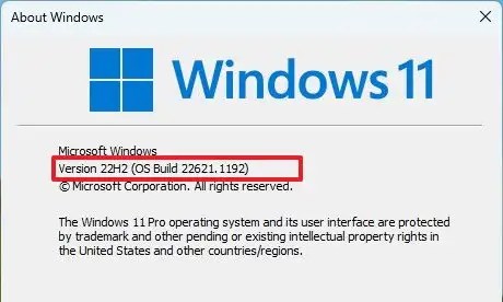 Windows 11 comprueba la versión de winver