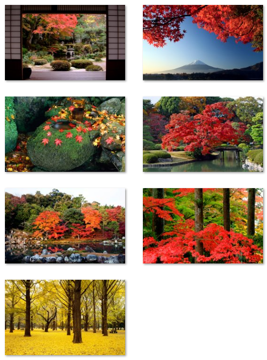 Colección de papel pintado de otoño de Japón