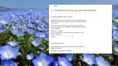 Photo of Cómo crear automáticamente archivos de OneDrive en línea solo para liberar espacio en Windows 10