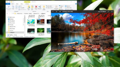 Photo of Cómo obtener macOS Quick Look en Windows 10 para obtener una vista previa de las imágenes