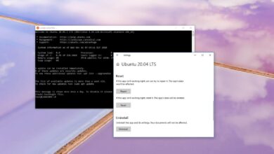 Photo of Cómo restablecer la distribución WSL2 Linux en Windows 10