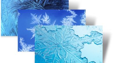 Photo of Descarga el tema Snowflakes and Frost para Windows 7 GRATIS