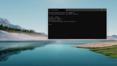 Photo of Cómo instalar el Subsistema de Windows para Linux (WSL) en Windows 11