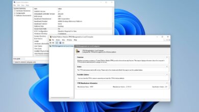Photo of Cómo habilitar TPM y arranque seguro en BIOS para Windows 11
