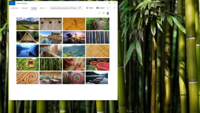 Photo of Tema World of Bamboo para Windows 10 (Descargar)